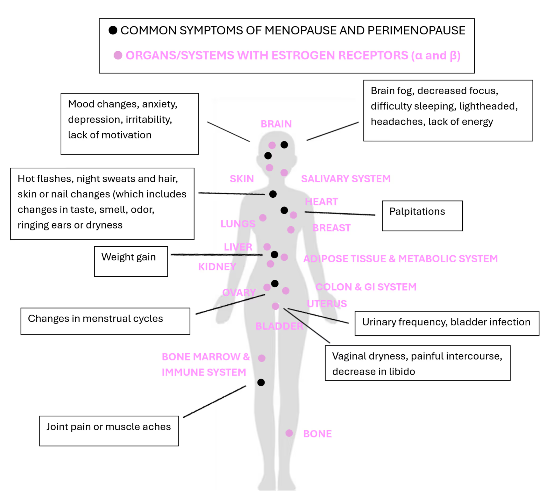 Menopause Symptoms Infographic